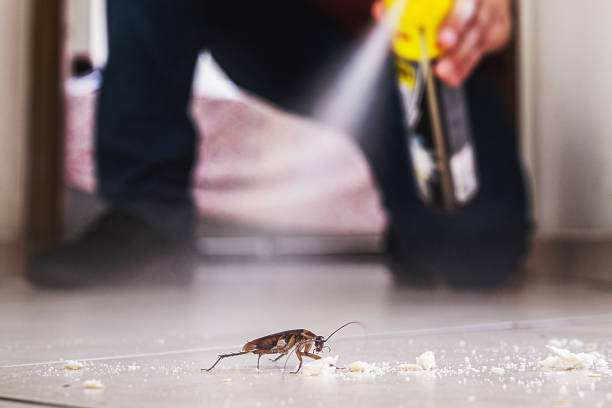 Best Commercial Pest Control Services  in Angola On The Lake, NY